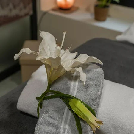 欧洲之星拉斯坎特拉斯酒店 4*